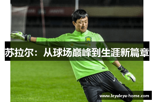 苏拉尔：从球场巅峰到生涯新篇章